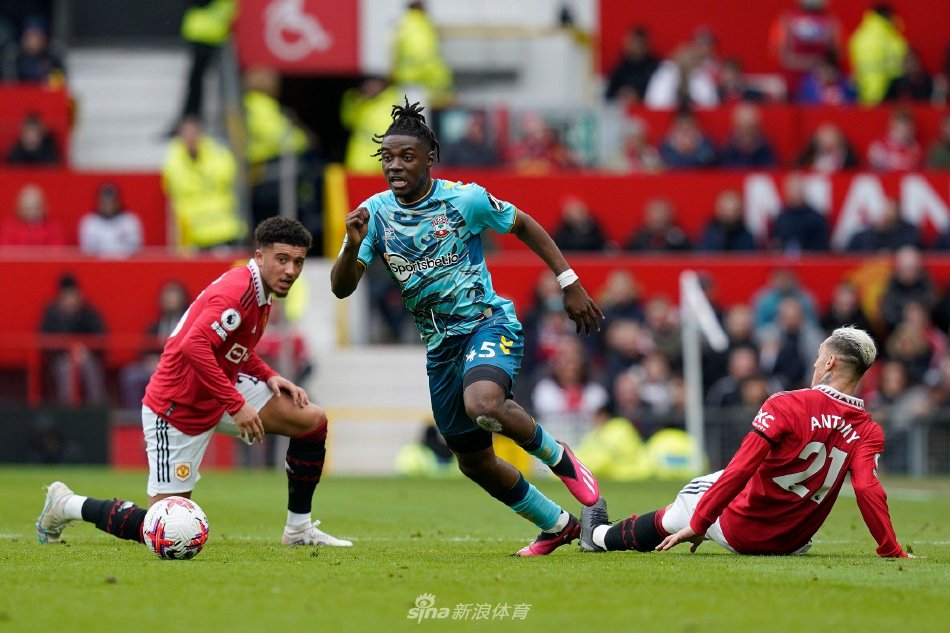 可以归为 可以归为