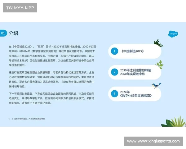 聚焦技术官员职能与影响力在企业数字化转型中的关键作用与挑战